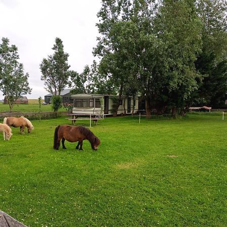 De Boerenskuur..Chalet.. Assendelft المظهر الخارجي الصورة